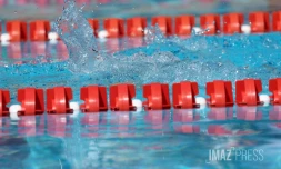 natation 
