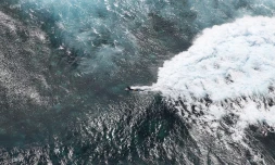 Surf