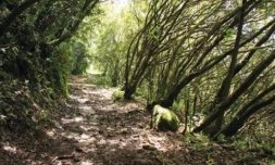 Sentier des Ravenales 