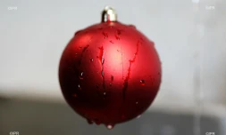 noel 