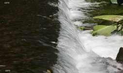 eau 