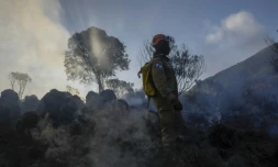 Un pompier à Itatiaia, au Brésil le 15 juin 2024
