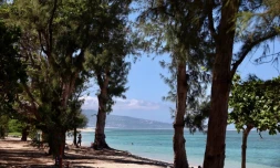 Plage L'hermitage