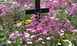Cimetière 