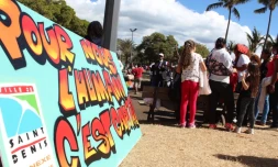 Pique-nique Républicain, 14 juillet 2016, Saint-Denis Barachois