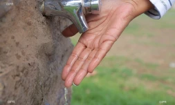 eau 