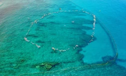 hommage aux surfeurs 