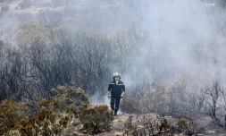 Incendie du Maïdo 9 novembre 2020