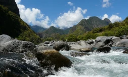 météo réunion 