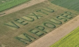 Un agriculteur demande sa compagne en mariage avec des lettres géantes taillées dans son champ