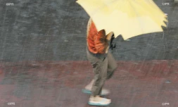 pluie 