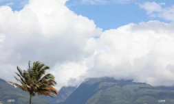 météo réunion 