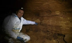 Le paléoclimatologue Dominique Genty dans les galeries souterraines de Villars, le 23 mai 2023 en Dordogne ( AFP / MEHDI FEDOUACH )