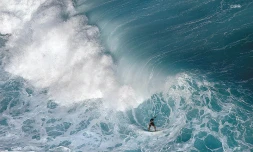 surf
