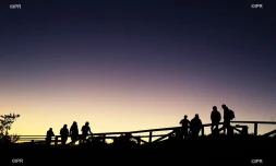 illustrations photos 
