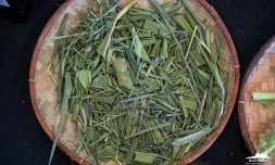 Région Réunion : la Route des plante un outil de préservation et de valorisation des ressources naturelles de l'Océan Indien