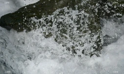 eau 