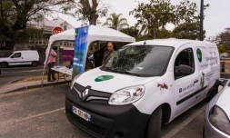 Saint-Paul : sensibilisation contre le prosopis sur le parking de la plage des brisants