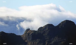 paysages 