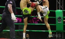 muay thai
