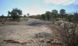 Sécheresse à Mudzi, au Zimbabwe, le 2 juillet 2024, lors d'un précédent épisode El Niño
