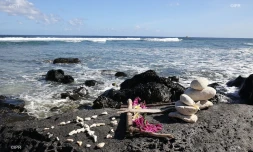 Hommage Ă Elio au Cap Homard