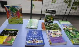 Saint-Pierre : dans les coulisses du métier de bibliothécaire à la médiathèque Raphaël Barquissau