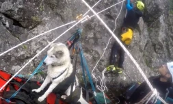 sauvetage d\'un chien dans un canyon