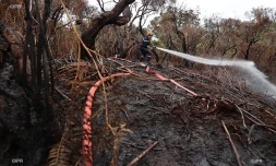 incendie maido sentier alcide