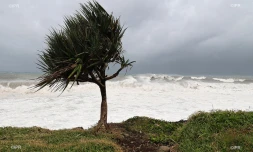 cyclone intense Batsirai 2 février 2022 côte est