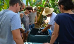 Le TCO organise des ateliers de formation aux différents moyens de valoriser ses déchets organiques