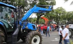 manif planteurs de cannes 