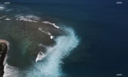 Club de surf Saint-Leu 