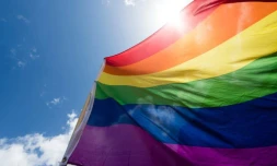 LGBTQI