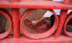 jour de l'An chinois 