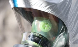 Chikungunya : l'épidémie est déclarée à La Réunion, le préfet déclenche le niveau 3 du dispositif Orsec [?]