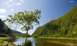Météo Réunion 