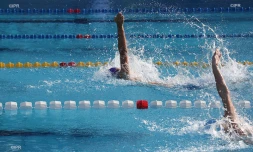 natation championnat de la réunion 