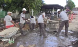 Dioycité chantier d'insertion 