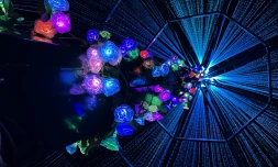 Le Tampon scintille de mille feux pour Noël