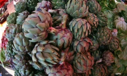 Marché forain 