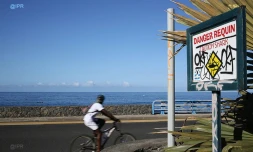 Attaque requin l\'Etang-Salé