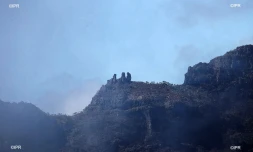 météo réunion 