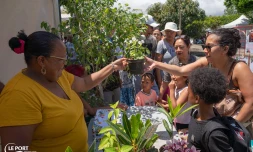Le Port : journée portes ouvertes au coeur de la pépiniÚre municipale