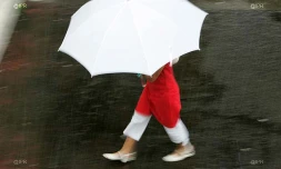 pluie