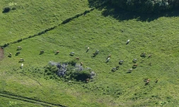 agriculture