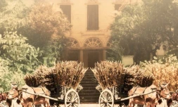 Semaine créole dans le smusées régionaux