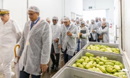 Coopération régionale : Les Seychelles vers un partenariat avec Royal Bourbon