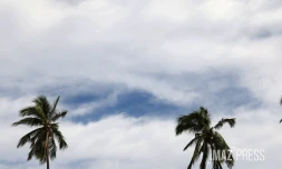 météo réunion