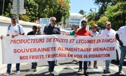 manifestation agriculteurs